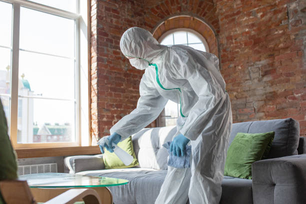 Why You Should Choose Our Mold Remediation Services in Simpson, PA