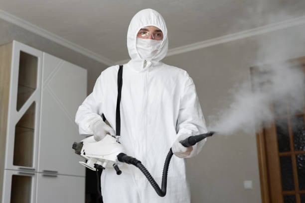 Professional Mold Removal in Simpson, PA